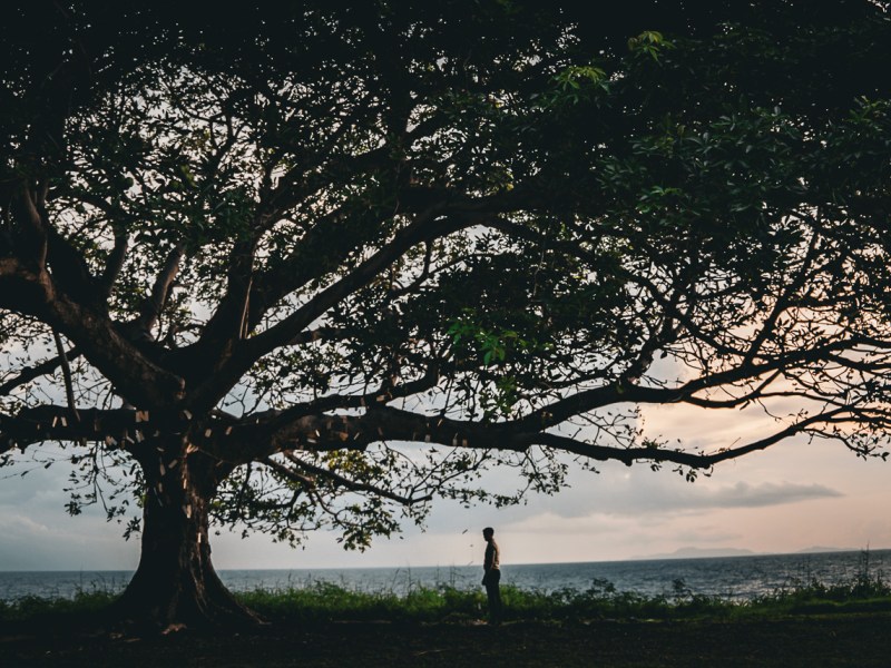 Green Bones and the Essence of&nbsp;Subtlety